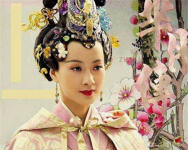 只是作为一名小妾,而并非是什么所谓的"夫人",只是因为比郭隗年轻许多