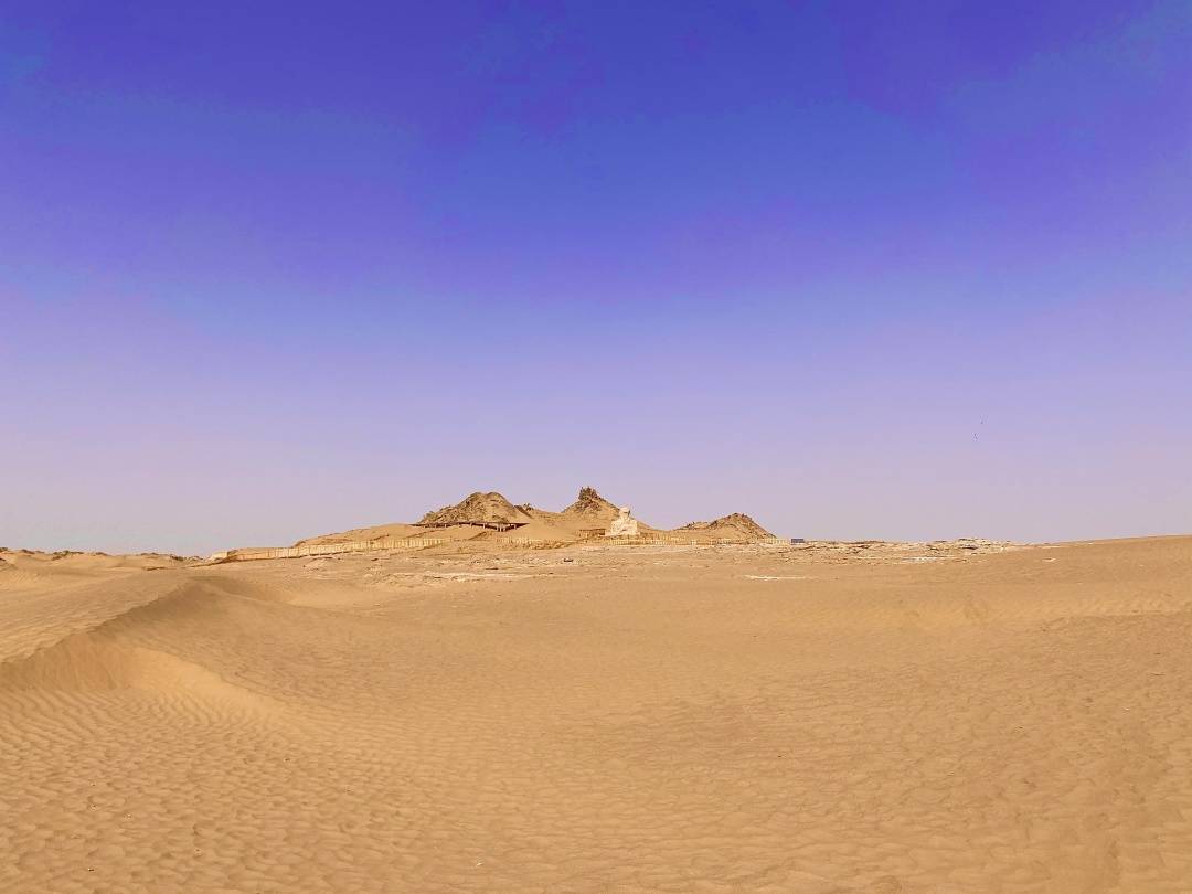 刘予儿|亲历尼雅遗址，感受中国葡萄酒的文化起源