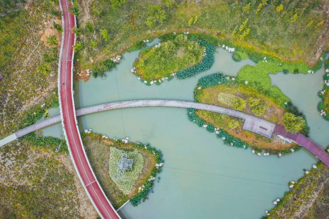 自然丨打卡玉石湿地公园镶嵌在天府绿道上的美玉