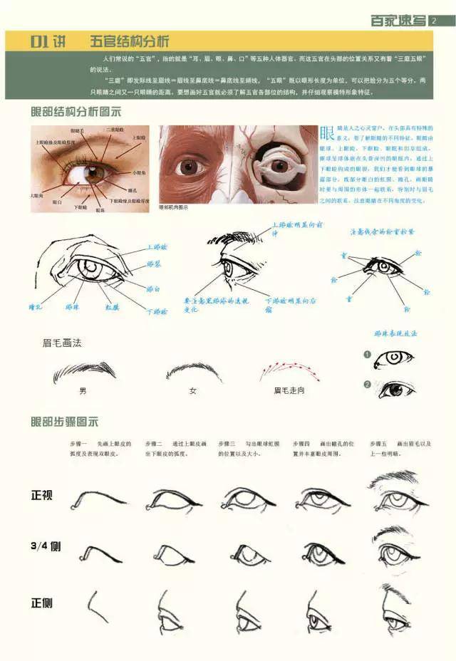 头像|干货教程 | 速写五官很难画？给你详细解析！