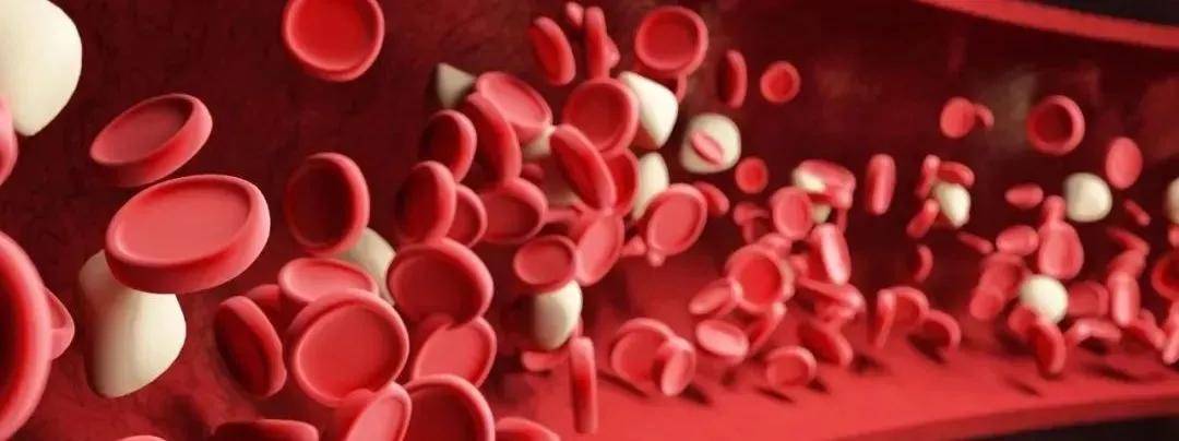 血管|三高?过敏？肤色暗沉？是时候给血液“洗个澡”啦