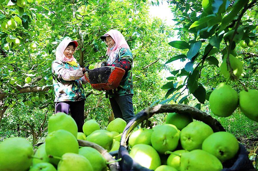 春种秋收,春华秋实.