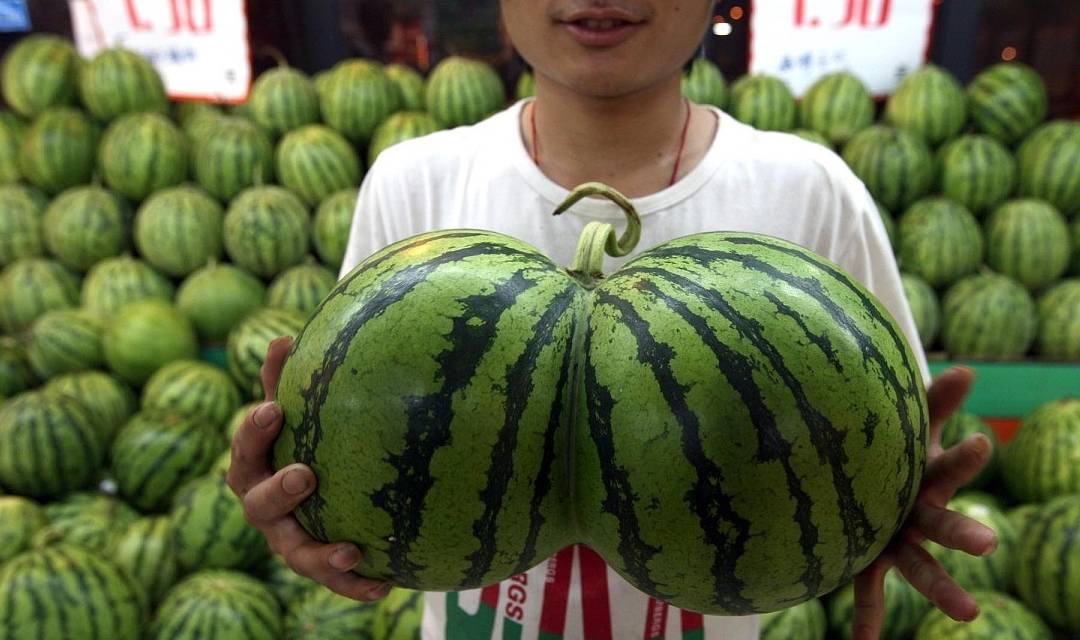 西瓜怎么做成西瓜干 2239d1c439af48dda2f05e11103df49f.jpeg