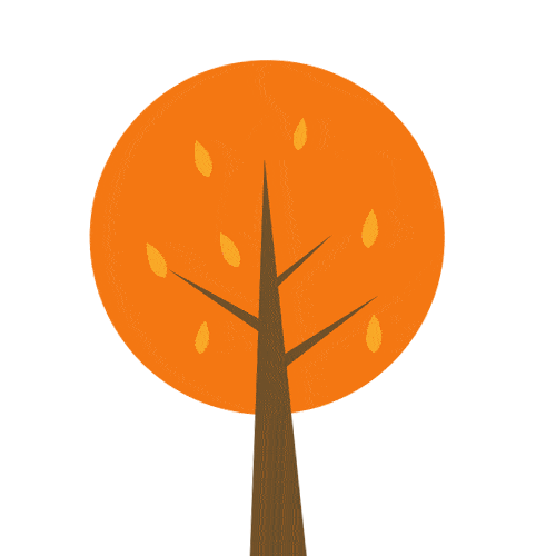 slom|Cog·slom可色｜时髦女孩都在穿的秋冬鞋子清单