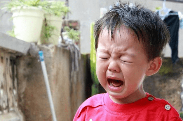 智商|吼孩子既影响娃的智商又对家长不利，换种方式解决，或许更有效果