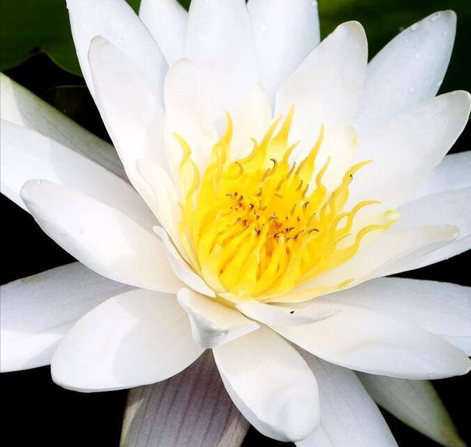 爱你爱你 写封情书寄给你 你是我放不下 忘不了的深情爱人 结局