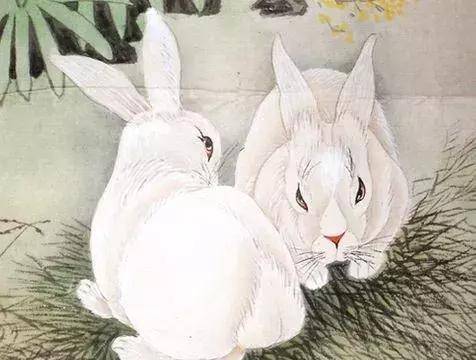 什么生肖排在北方 7e66262c8d9b48fd8d1fe41881a8e47d.jpeg