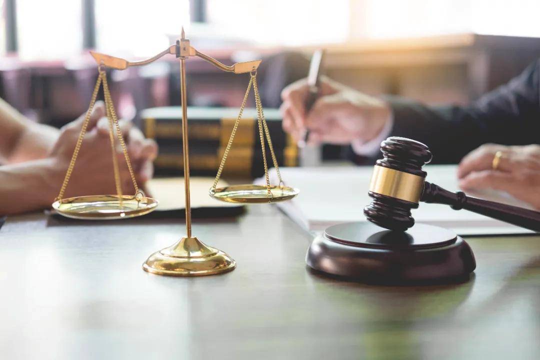 热门专业推荐|法学