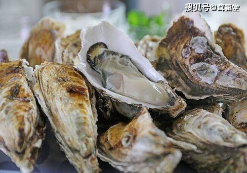 怎么挑选生蚝图片 993ea496a00b425c9e48f6ceccfeadb9.jpeg