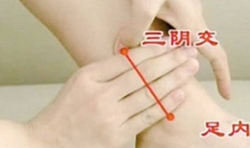 ab7afca0c3a44c25905c8ea9784b9a31.jpeg
