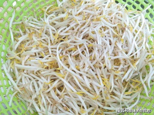 什么季节种小葱最合适 b14d00cc0d6a4a7a81fb546efa50e425.jpeg