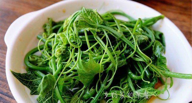圆白菜|早餐不知道吃什么，来看看多妈家的早餐，七款早餐做法分享！