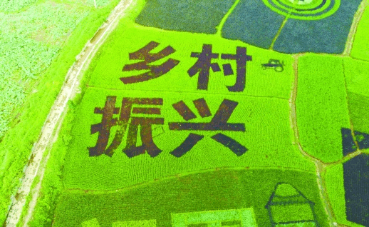 b2ccd9ee23f24a6ab97d0fdd68b80446.png