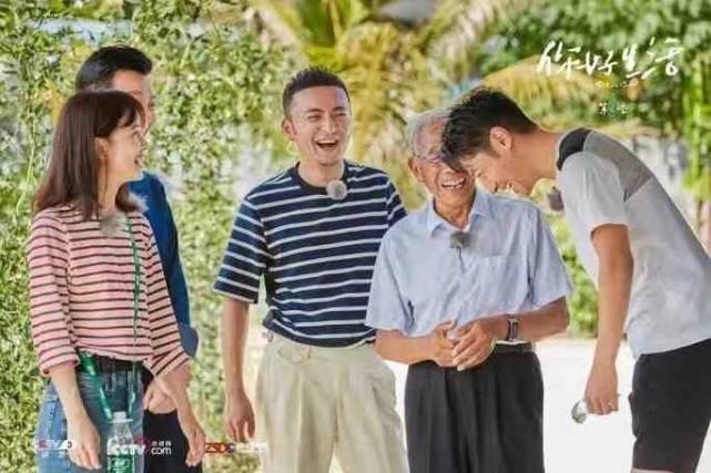 细节|王冰冰成央视顶流！穿T恤拍综艺人气爆棚彻底火，更被倪萍夸上天