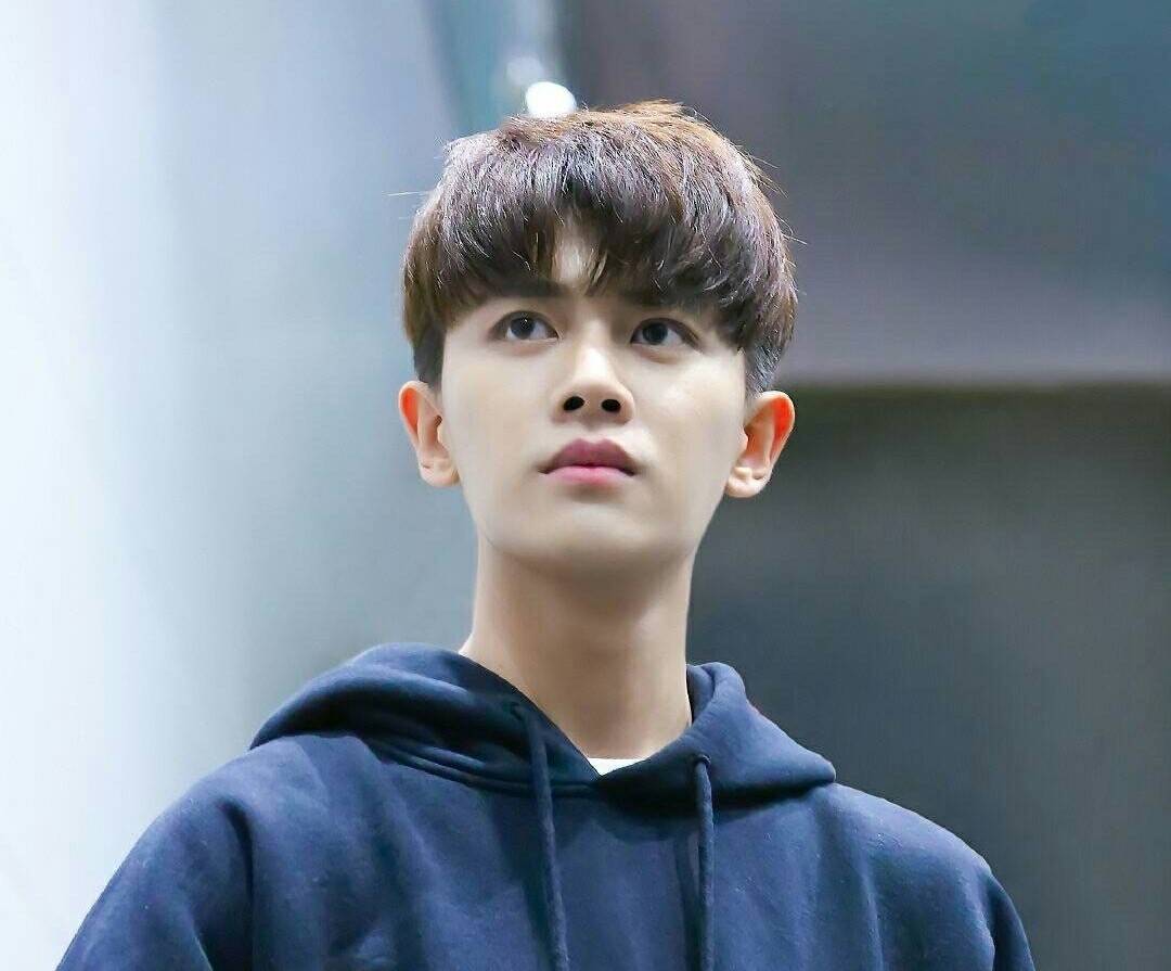 因为|古偶剧天花板任嘉伦，现代剧槽点满满，从偶像到演员的路还很长?