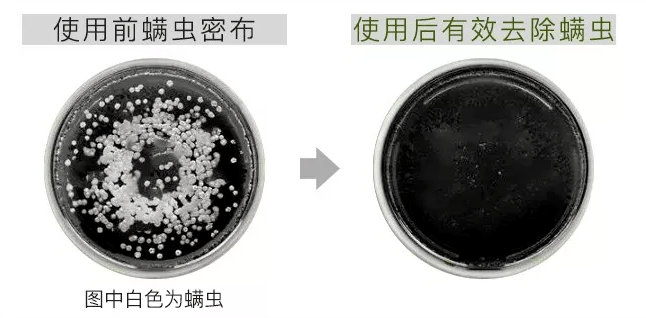 人参|从不染发！70岁白发老人一夜变“黑发”，全网都在好奇！