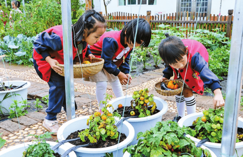 家长|幼儿园取消午睡，引起家长十分不满，老师解释后家长才放心