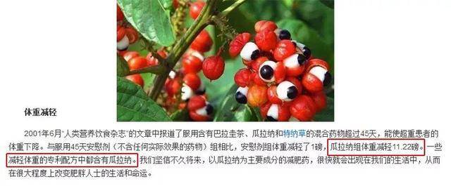 魔力|吴昕粗腿抢镜，“壮”过杜海涛？人家早瘦了，小腿细到不敢认