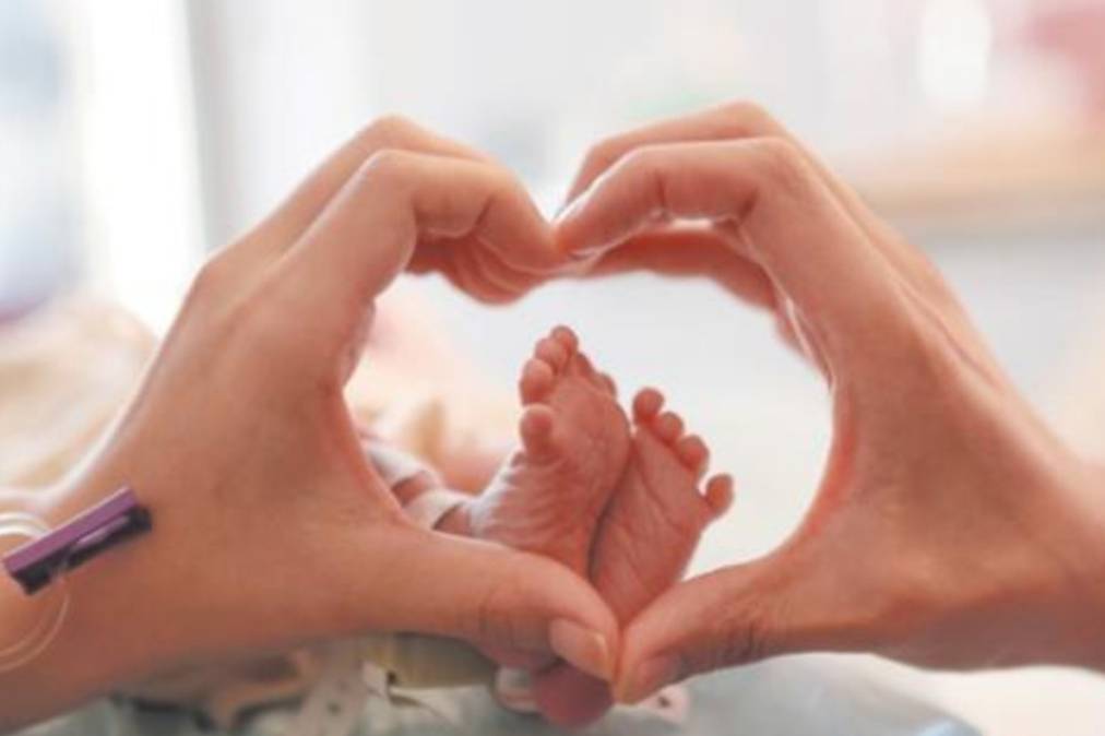 家长|鼓励三胎政策不见效果,国家出手整治幼儿园乱象,可以放心生了