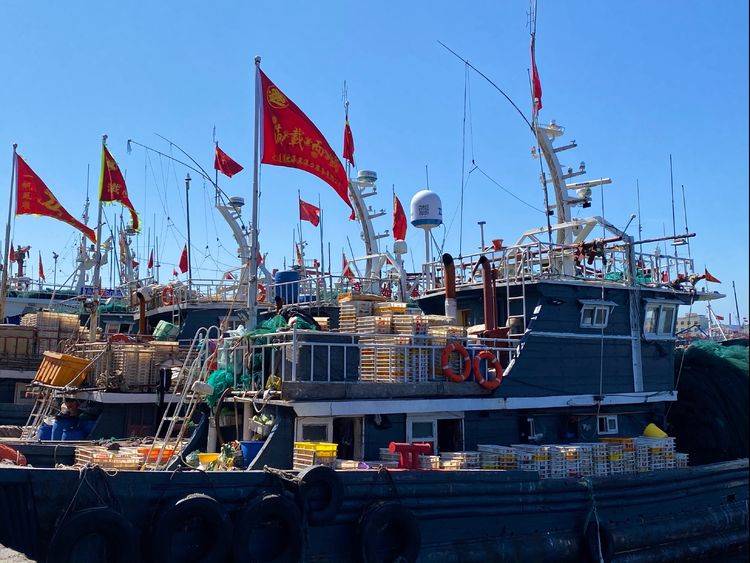 什么时候开海大连 f3053070c06c45f28700276a292a8099.jpeg