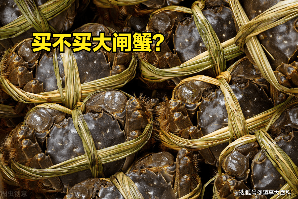 大闸蟹公蟹母蟹哪种贵 0fb4b9d5bdf2469fb4a8051e0eb1c041.png