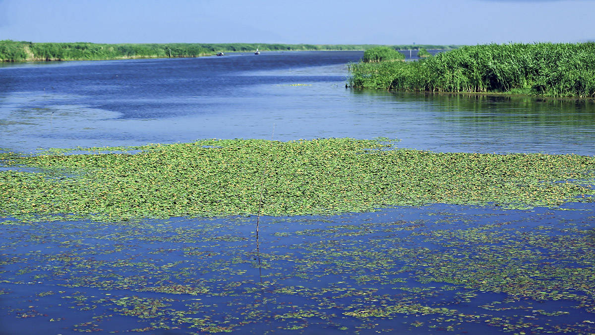 山东省第二大淡水湖,蓄水总量3亿立方米