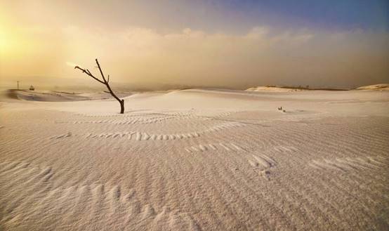 世界上最奇特的沙漠，茫茫一片都是白沙，雨季鱼虾遍地成群