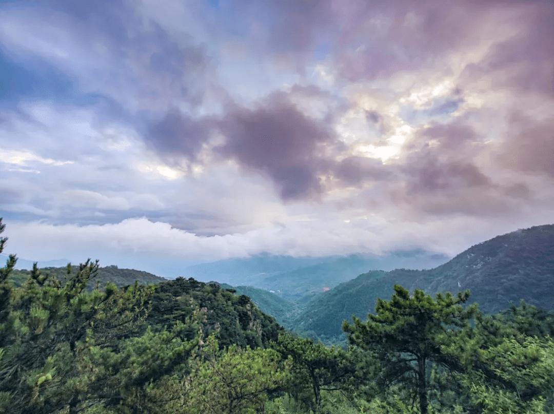 济南|湖光山色，摘星揽月！济南这个人间仙境般的森林部落，初秋打卡正当时！