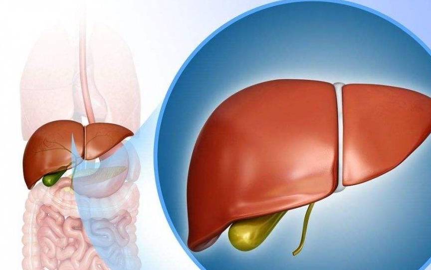 大意|身体三个部位比较“臭”,别大意!或是肝脏在向你求救