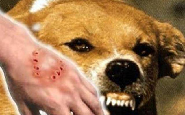 18fa1b60757343348aed2ce4a73da913.jpeg