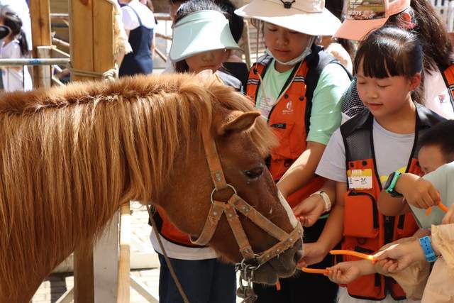 走近動物朋友感悟生命之美 青少年 中國熱點