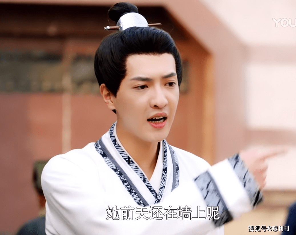 什么|五毒俱全！网剧主角配角一个比一个辣眼睛，整容崎岖超龄演技差…