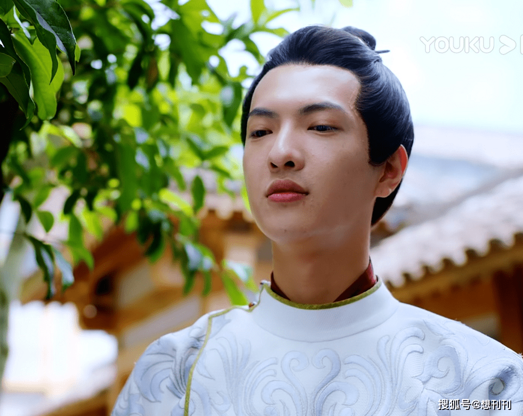 什么|五毒俱全！网剧主角配角一个比一个辣眼睛，整容崎岖超龄演技差…