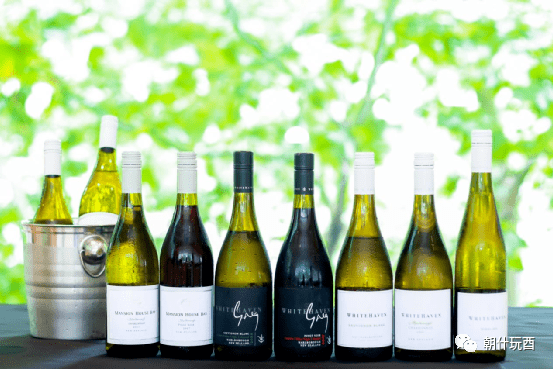 家族|风靡世界的新西兰怀特湾酒庄终于入驻中国了！