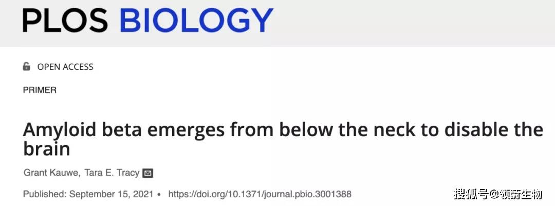 肝脏|阿尔兹海默病新突破!肝脏中的淀粉样蛋白会通过血液损害大脑