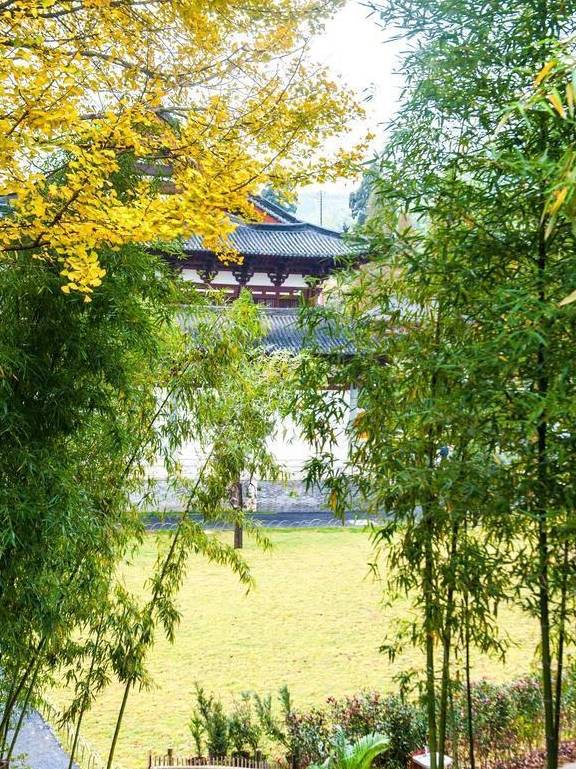 杭州最“清净”的景区之一，隐匿于山林之间，秋天的风景美爆了！