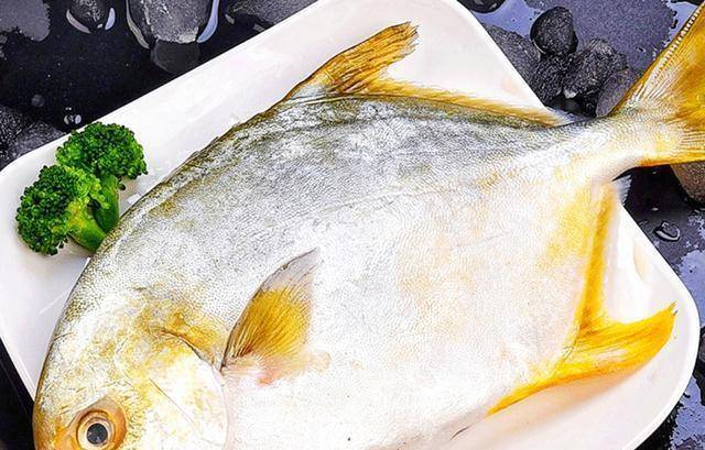 怎么养鱼才能养健康 33045b590eed40369ebb6faa3c156756.jpeg