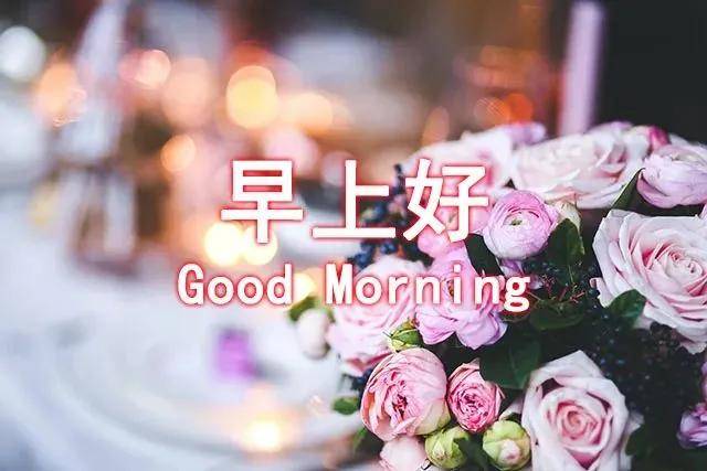 你如此脆弱,都是曾经有人宠溺,有人替你撑着,有人替你坚强.