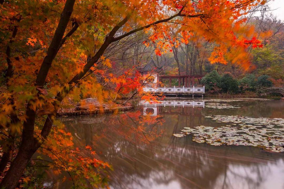 被称为|正是一年最美时