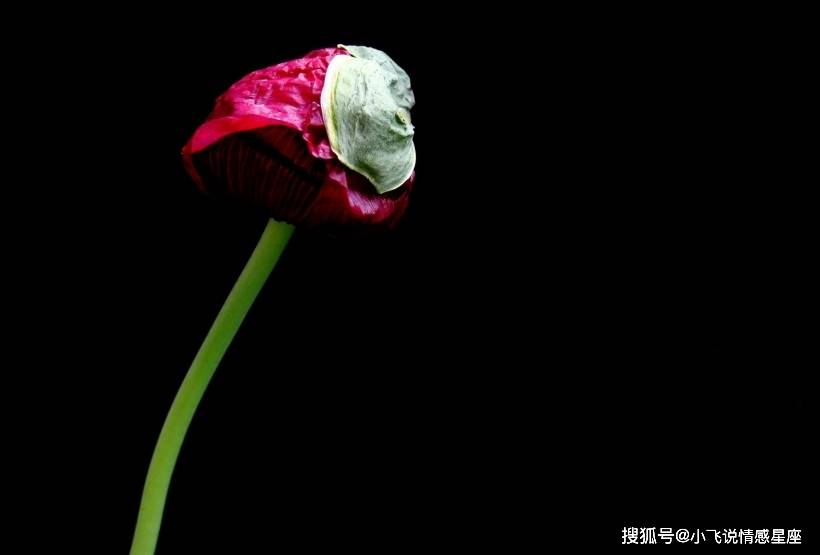 怎样让自己变得更有神秘感 52f5736a11b44b31b909c3ece6eb6433.jpeg