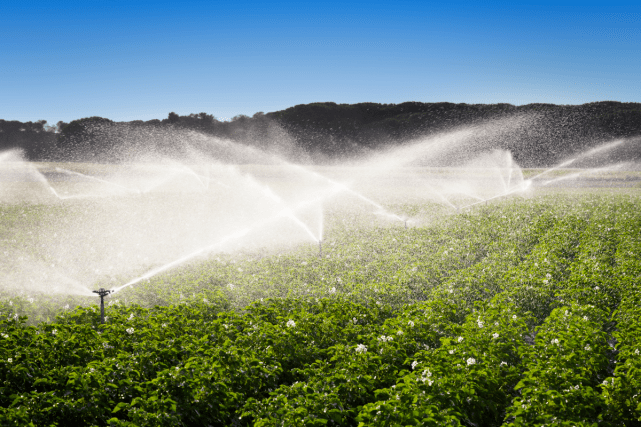真·高质量灌水:注入高新科技的传统灌溉