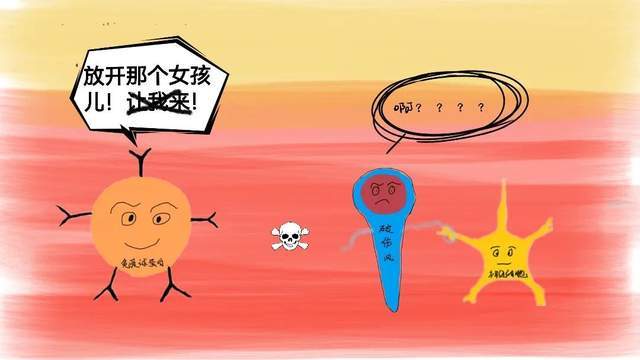 免疫球蛋白高什么原因 0cb6f52d70cd49c9828e5257f98776c4.jpeg