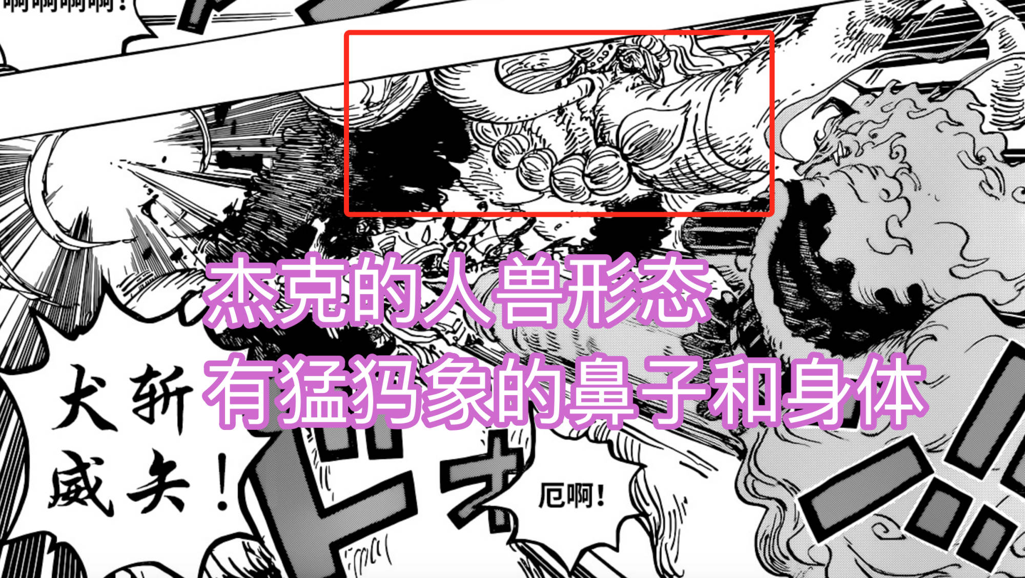 形態|海賊王1026話，杰克人獸形態曝光，造型稀奇，可惜一登場就被秒殺