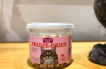 原料|养猫攻略之各个猫品种都爱吃的猫零食推荐