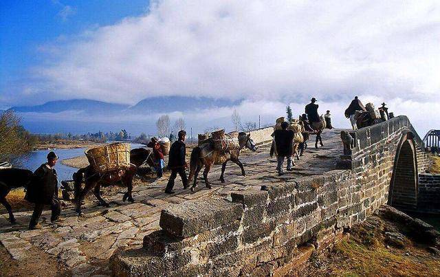 西宁茶马司;清初虽官方茶马贸易机构撤销,民间茶马贸易往来仍然持续。