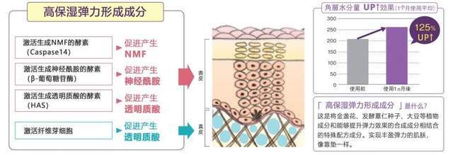 树皮Naris 祛皱抚纹紧致系列