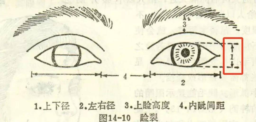 祖儿娜扎初中旧照曝光，和现在的脸一比…