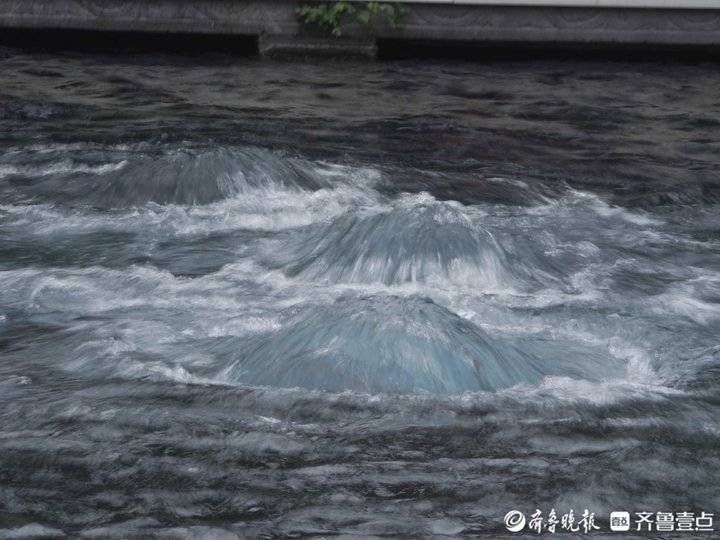 3b1c57fa0175457cb9a6bc7aaa70a656.jpeg