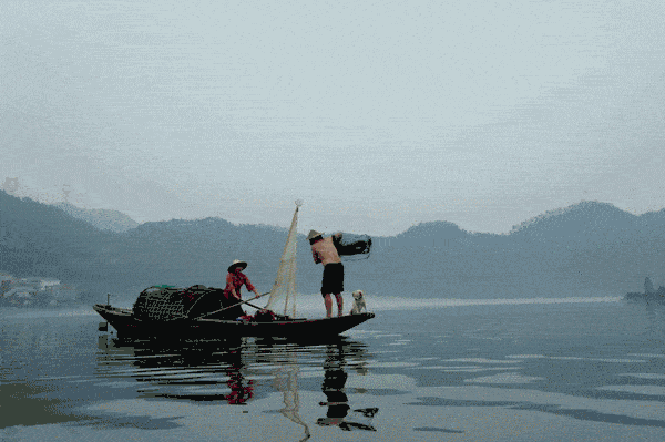 甲醛|老公买的这种鱼，差点害老婆流产！医生怒斥：你怎么敢买它