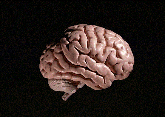 7661fbb194574d76b8411dcac48bb8d0.gif